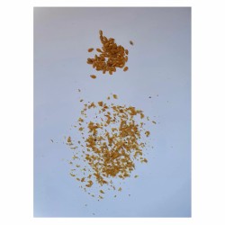 Młynek do siemienia lnianego Isen Peugeot