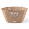Blim Plus Nettuno - Misa śr. 25 cm morelowa