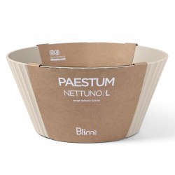 Blim Plus Nettuno Misa...