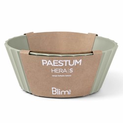 Blim Plus Hera - Misa śr. 15 cm zielona