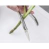 Obieraczka do szparagów stalowa PARING KNIFE